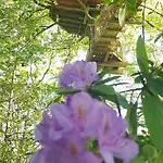 Bed & Breakfast Le Domaine De Legends