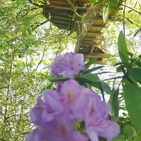 Bed & Breakfast Le Domaine De - Legends