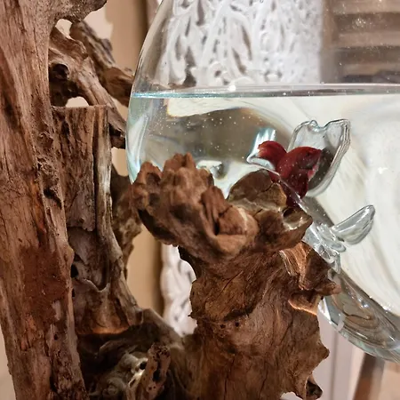 Le Domaine De - Legends Отель типа 