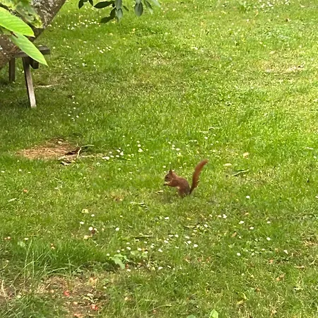 לינה וארוחת בוקר Le Domaine De - Legends Wail