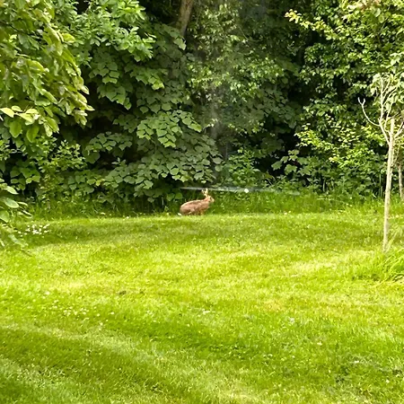 Le Domaine De - Legends